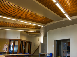 Commercial Interior