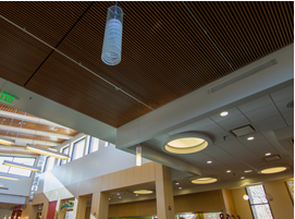 Library Interior